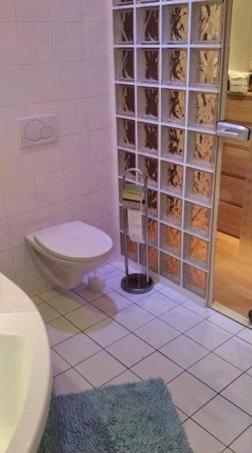 Apartman V Liliove Jablonec nad Nisou Dış mekan fotoğraf